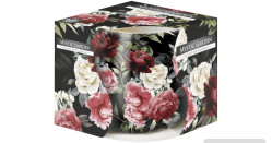 Bispol sklo 100g SN71s-50 Mystic garden