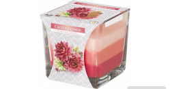 Bispol snk80 170g cactus flower