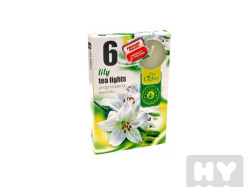 Admit tea light 6ks Lily