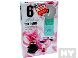 Admit čajové 6ks Wellness
