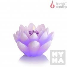 Bartek 350g Lilia z dioda Fialová