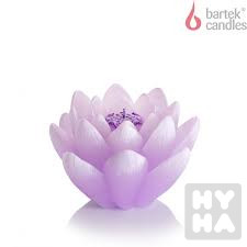 Bartek kwiat lilia fialove 350g