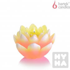 Bartek kwiat lilia 350g zluté