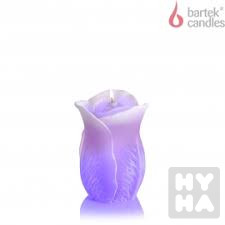 Bartek 340g Rose niska z dioda fialový