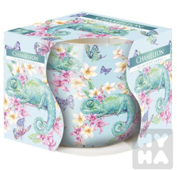 Bispol 100g sn71s-51 Chameleon