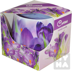 ADmit 100g/ nen coc (S)