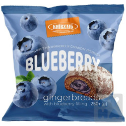 Alviva Perníčky 250g s náplní Borůvky