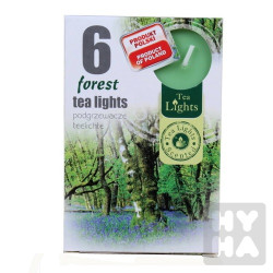 Admit tea light 6ks Forest