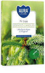 Bispol Aura Tea light 6ks Fir tree