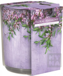 Bispol sklo SN72S-53 Floral harmony