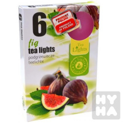 Admit tea lights 6ks Fig