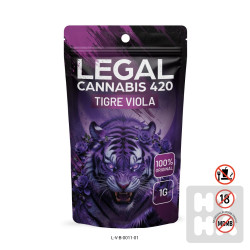 Legal cannabis 420 - Tigre Viola