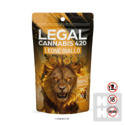 Legal Cannabis 420 -Leone Giallo