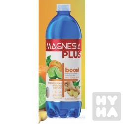 Magnesia plus 0,7L Boost