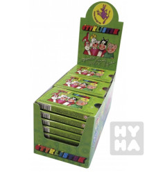 Čtyřlístek žvýkačky s pexesem 20g/24ks