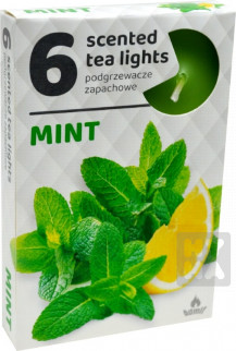 detail Admit tea light 6ks Mint