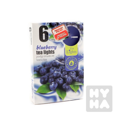 Admit tea light 6ks Blueberry