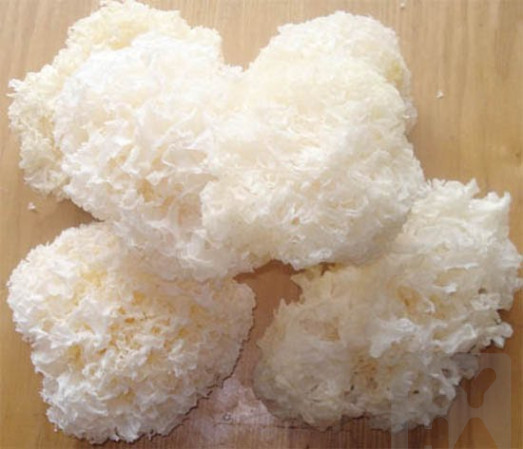 detail Nam Tuyet 100g(D70)
