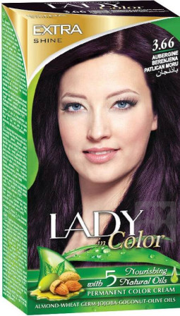 detail Lady in Color barva na vlasy 3.66 Aubergine