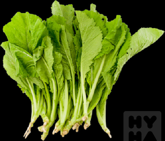 detail Rau cai/cai canh/cai cúc/cai thia/cai ngot/ Brassica