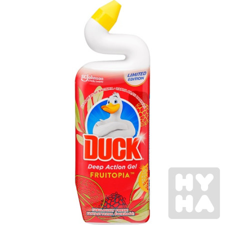 detail duck 750ml fruitopia
