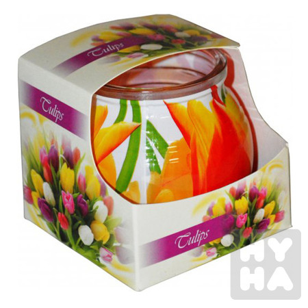 detail Admit svicky sklo 100g Tulipan