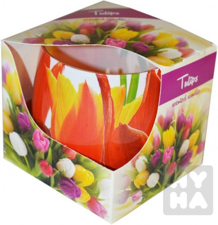 detail Admit Svicka 100g tulips