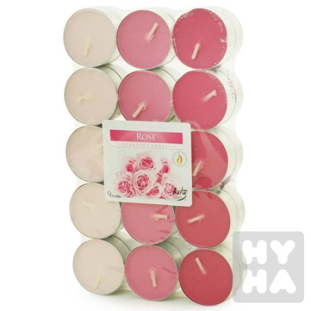 detail bispol cajove svicky 30ks Rose