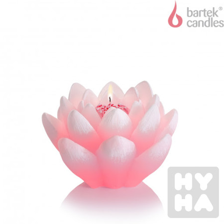 detail Bartek kwiat lilia ruzový 350g