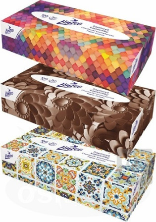 detail Linteo kapesniky v krabici 100ks 2vr.