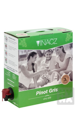 detail Vina CZ 3L Pinot Gris