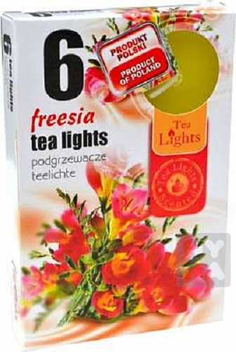 Admit tea light 6ks Freesia