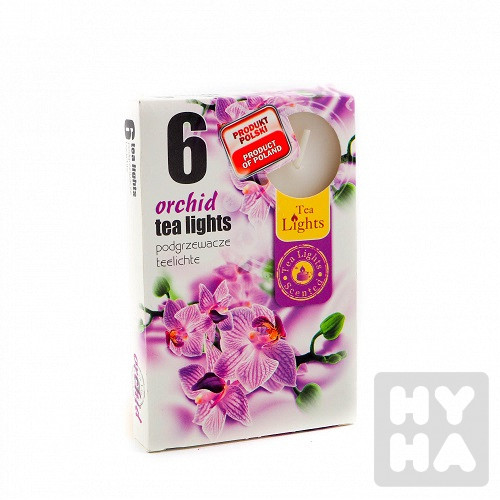 Admit tea light 6ks Orchid