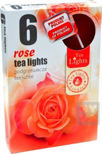 Admit tea light 6ks Rose