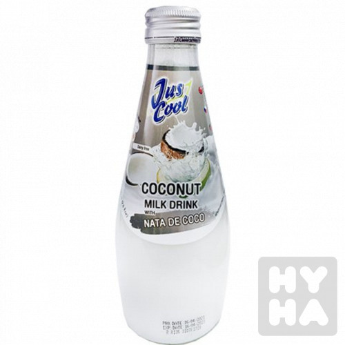 Coconut milk drink 290ml nata de coco