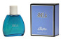 náhled Chatler 100ml for men Anela