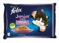 náhled Felix fantastic 4x85g kureci a lososem v zele 8937