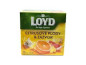 náhled Loyd Citrusové plody a zázvor 20x1,7g