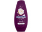 náhled Schauma 250 ml condi. strength a vitality