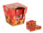 náhled Bartek sklo 115g Golden christmas