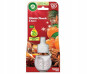 náhled Airwick 19ml náplň Winter punch a spices