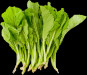 náhled Rau cai/cai canh/cai cúc/cai thia/cai ngot/ Brassica