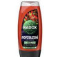 náhled Radox 250ml SG M 3v1 Povzbuzení Goji a Kofein
