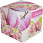 náhled admit skol 100g magnolia