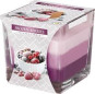 náhled Bispol sklo SNK80-Frozen berries