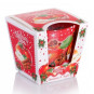 náhled Bartek sklo 115g Christmas spices