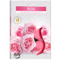 náhled Bispol Aura Tea light 6ks Rose