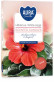 náhled Bispol Aura čajové svíčky 6ks Hibiscus white sage
