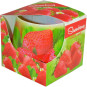 náhled admit sklo 100g strawberry