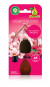 náhled AIrwick 20ml náplň Cherry Blossom a Raspberry